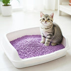 2X Arena Aglomerante para Gatos Arena de Tofu para Gatos sin Polvo Fácil de Aglomerar Controla los Olores se Lanza en el Inodoro