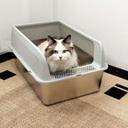 Caja de arena para gatos | Higiene interior y hogares con varios gatos