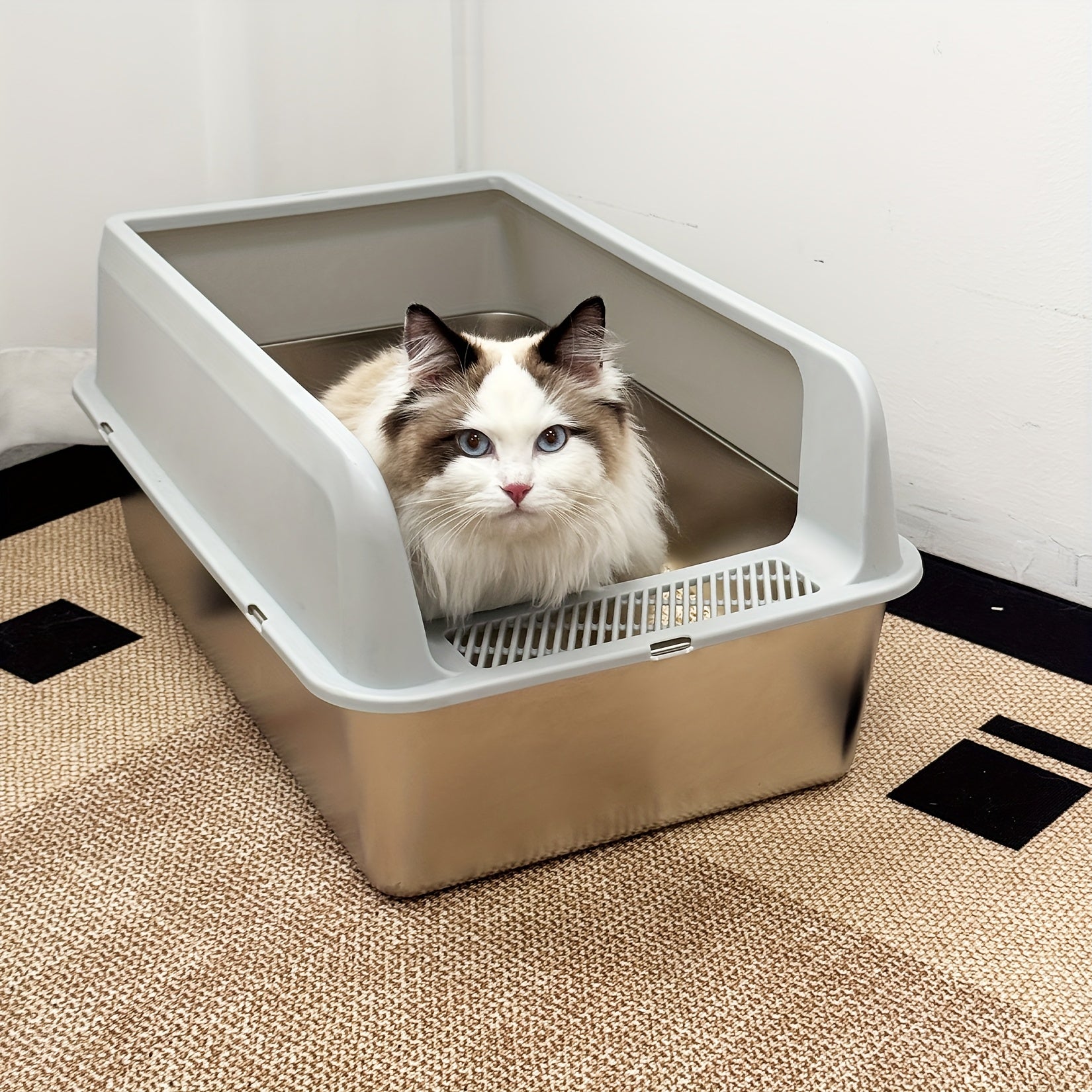 Caja de arena para gatos | Higiene interior y hogares con varios gatos