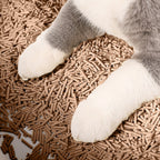 La arena para gatos se aglomera en segundos Arena para gatos vegetal Arena para gatos desodorizada, sin polvo y sin mezcla Suministros para mascotas fáciles de almacenar - 1 bolsa Varios sabores