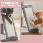 Rascador para gatos | Torre Pequeña para Gatos Feandrea - Diseño Multinivel con Perchas Ampliadas, Postes Rascadores, Rampas y Plataformas