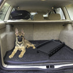 Rampa para perros plegable de plástico, escaleras para mascotas, rampa de acceso antideslizante con topes de goma hasta 90 kg, 156 x 40 cm, negra
