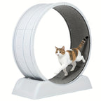 Rueda de ejercicio para gatos, trotamundos de 79 cm para gatos de interior, rueda de correr con pista alfombrada, fácil de instalar y para la salud y el fitness, adecuada para la mayoría de los gatos, rueda de plástico