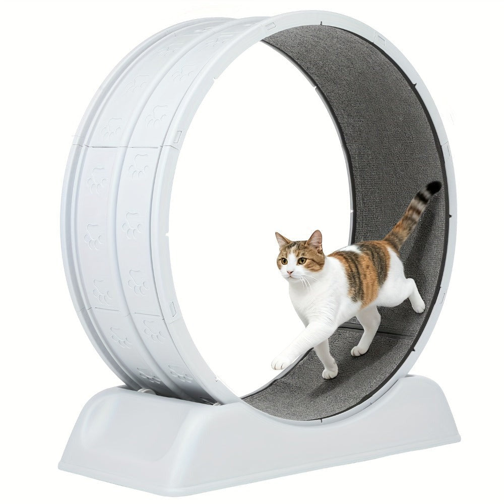 Rueda de ejercicio para gatos, trotamundos de 79 cm para gatos de interior, rueda de correr con pista alfombrada, fácil de instalar y para la salud y el fitness, adecuada para la mayoría de los gatos, rueda de plástico