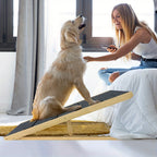 Rampa plegable para perros Portátil, rampa para mascotas Cuatro niveles de altura ajustables Escaleras para gatos y perros grandes Pasos antideslizantes para camas, sofás o coches Escalera para mascotas Carga máxima 100kg 100x40x60cm