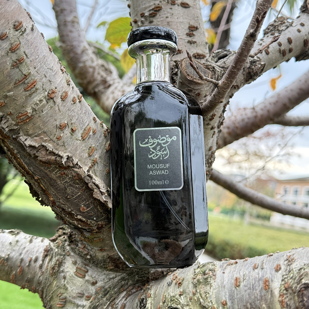Perfume Árabe Oud de Lujo para Hombre, Fragancia Oriental Premium en Elegante Botella de Vidrio Negro | Aroma Exótico Picante Amaderado | Elegante Set de Regalo para Él con Presentación Sorpresa (Eid/Cumpleaños/Aniversario)