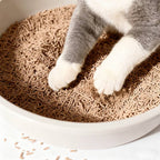 La arena para gatos se aglomera en segundos Arena para gatos para plantas Arena para gatos desodorizante, libre de polvo y sin mezclar Suministros para mascotas fáciles de almacenar