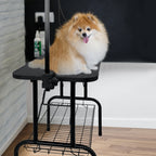 Mesa de peluquería ajustable en altura para perros y gatos, con hebilla y diseño plegable