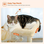 Árbol para Gatos Pequeños de Pawz Road para Interiores - Centro de Actividades Convertible 2-en-1 con Postes Rascadores, Hamaca de Peluche y Percha Superior Desmontable, Diseño Robusto Ahorrador de Espacio para Gatitos, Gris y Beige, Árbol Lindo para Gato