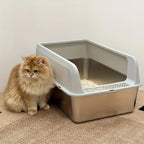 Caja de arena para gatos | Higiene interior y hogares con varios gatos