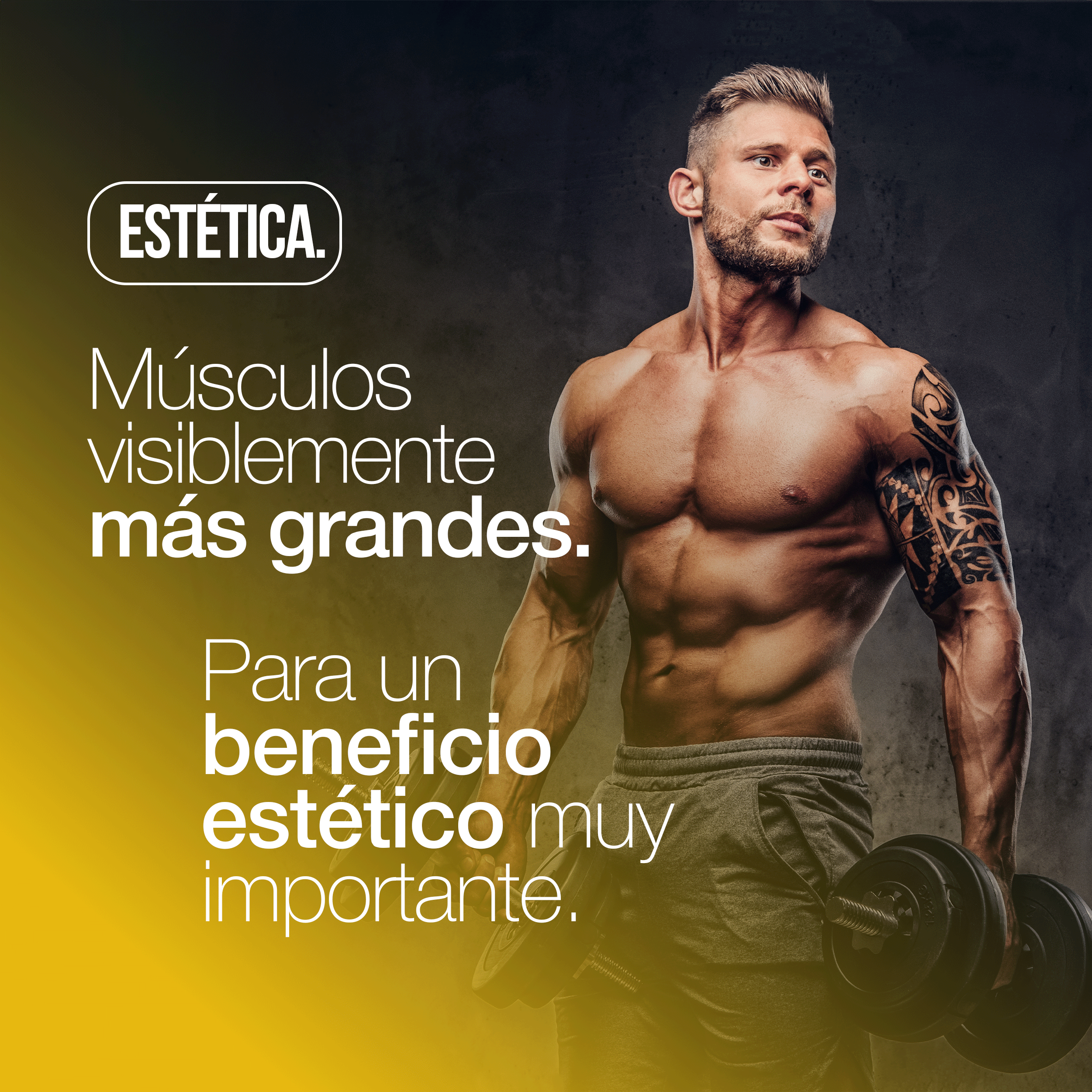 [2PZ PROMO] Creatina Monohidrato Pura 3000mg – 120 Comprimidos | Suplemento para Aumento de Fuerza, Rendimiento y Masa Muscular | Fabricado en Italia