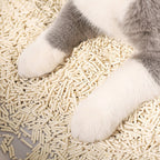 La arena para gatos se aglomera en segundos Arena para gatos vegetal Arena para gatos desodorizada, sin polvo y sin mezcla Suministros para mascotas fáciles de almacenar - 1 bolsa Varios sabores