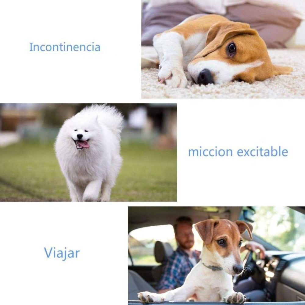 Paquete de 36 pañales desechables para perros machos, ropa interior higiénica para mascotas, suaves, absorbentes, transpirables y cómodos, disponibles en varios tamaños, XS/S/M/L, blancos.