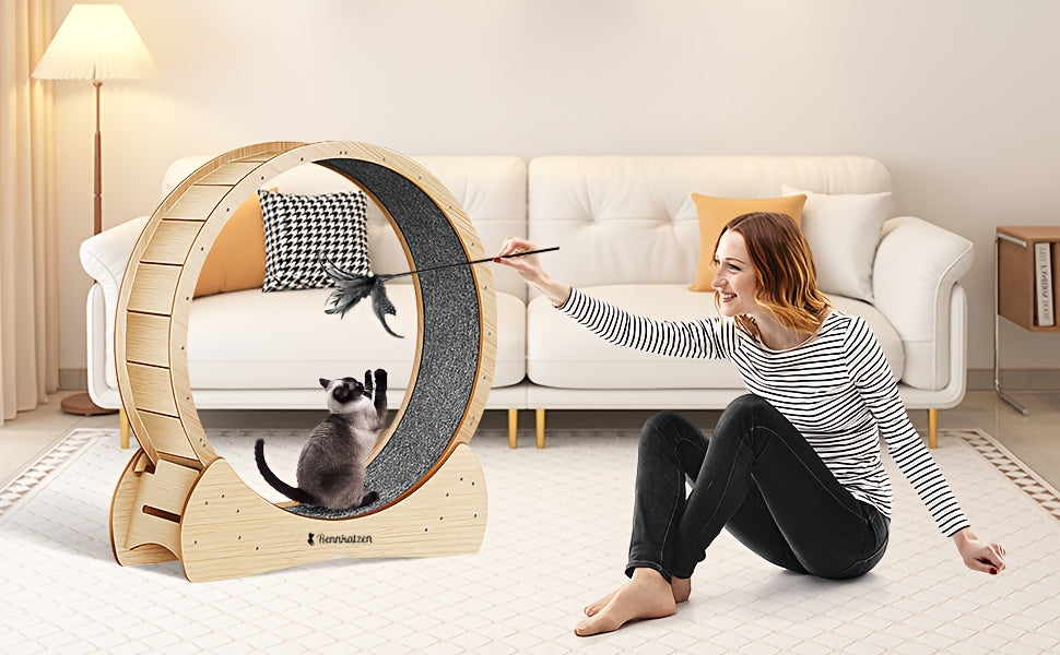 Rueda de ejercicio para gatos de madera | Actividad interior y enriquecimiento de mascotas