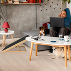 Rampa plegable para perros 100 kg 60 cm | Cama sofá coche y acceso de mascotas