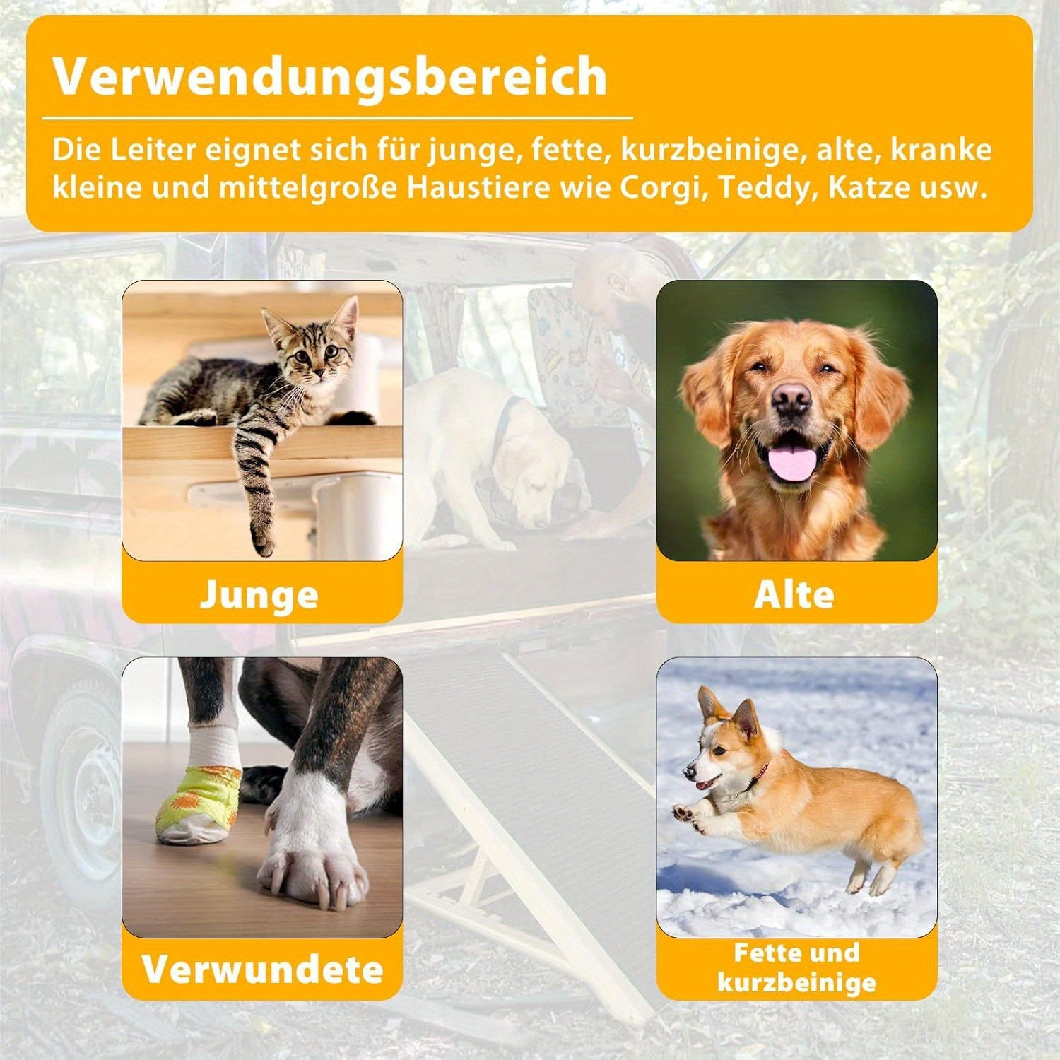 Rampa plegable para perros 100 kg 60 cm | Cama sofá coche y acceso de mascotas