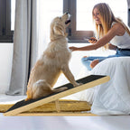 Rampa plegable para perros 100 kg 60 cm | Cama sofá coche y acceso de mascotas