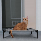Cama elevada para mascotas para interior, jardín y días cálidos