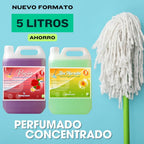 Fregasuelos Concentrado. Fregasuelos Perfumado Duradero. PH Neutro. Aroma Aloe Marsella y Pasión. 5 Litros