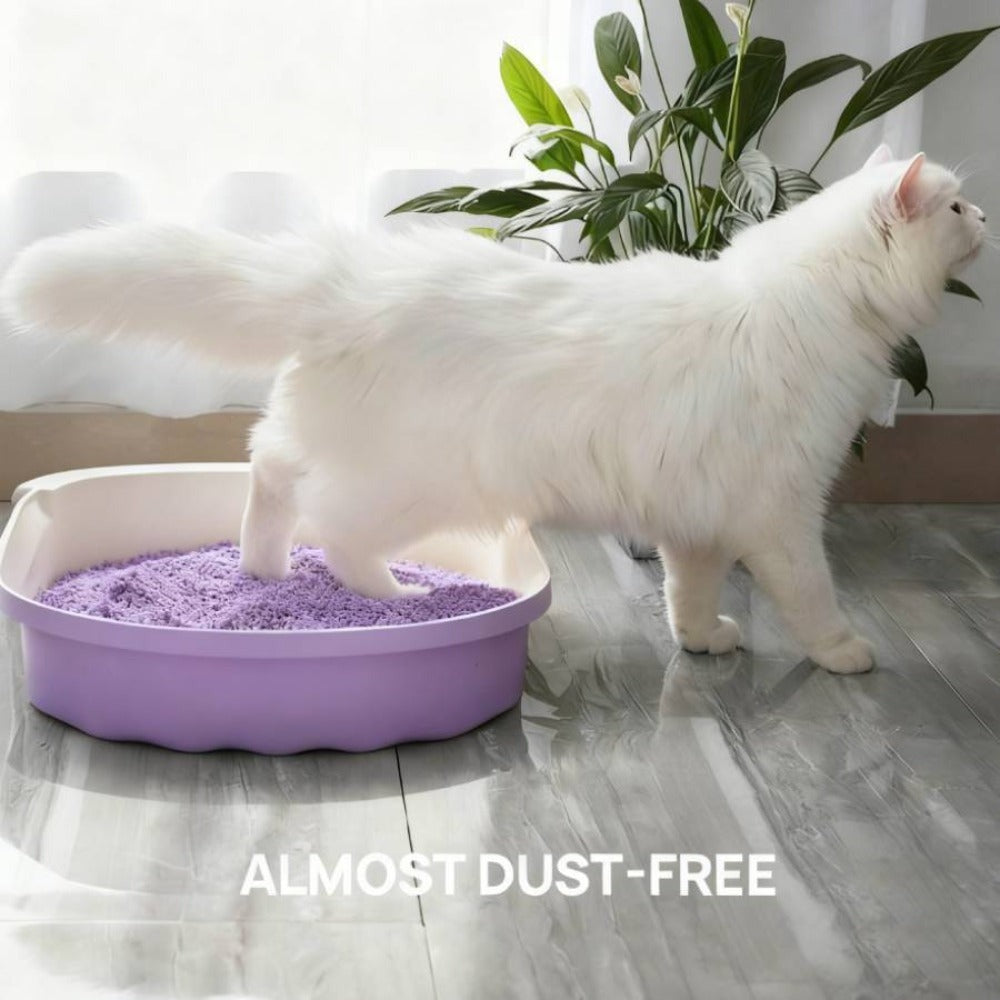 La arena para gatos se aglomera en segundos Arena para gatos para plantas Arena para gatos desodorizante, libre de polvo y sin mezclar Suministros para mascotas fáciles de almacenar