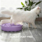 La arena para gatos se aglomera en segundos Arena para gatos para plantas Arena para gatos desodorizante, libre de polvo y sin mezclar Suministros para mascotas fáciles de almacenar