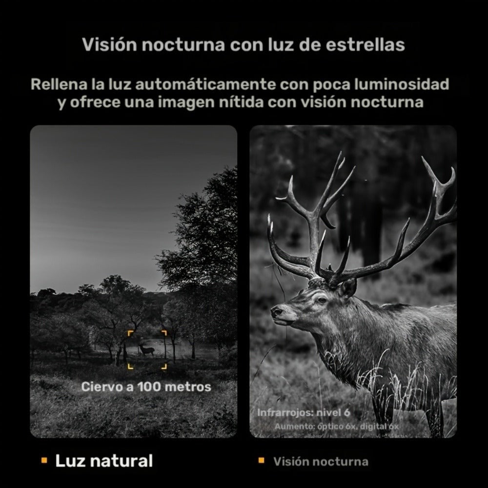 Gafas de Visión Nocturna con Cámara de Zoom Digital 10X, Telescopio de Visión Nocturna Infrarroja de 800m en Completa Oscuridad, Pantalla Grande de 2.8", Carga USB, Ideal para Observación de Vida Silvestre, Camping, Viajes y Monitoreo de Granjas, Equipo p