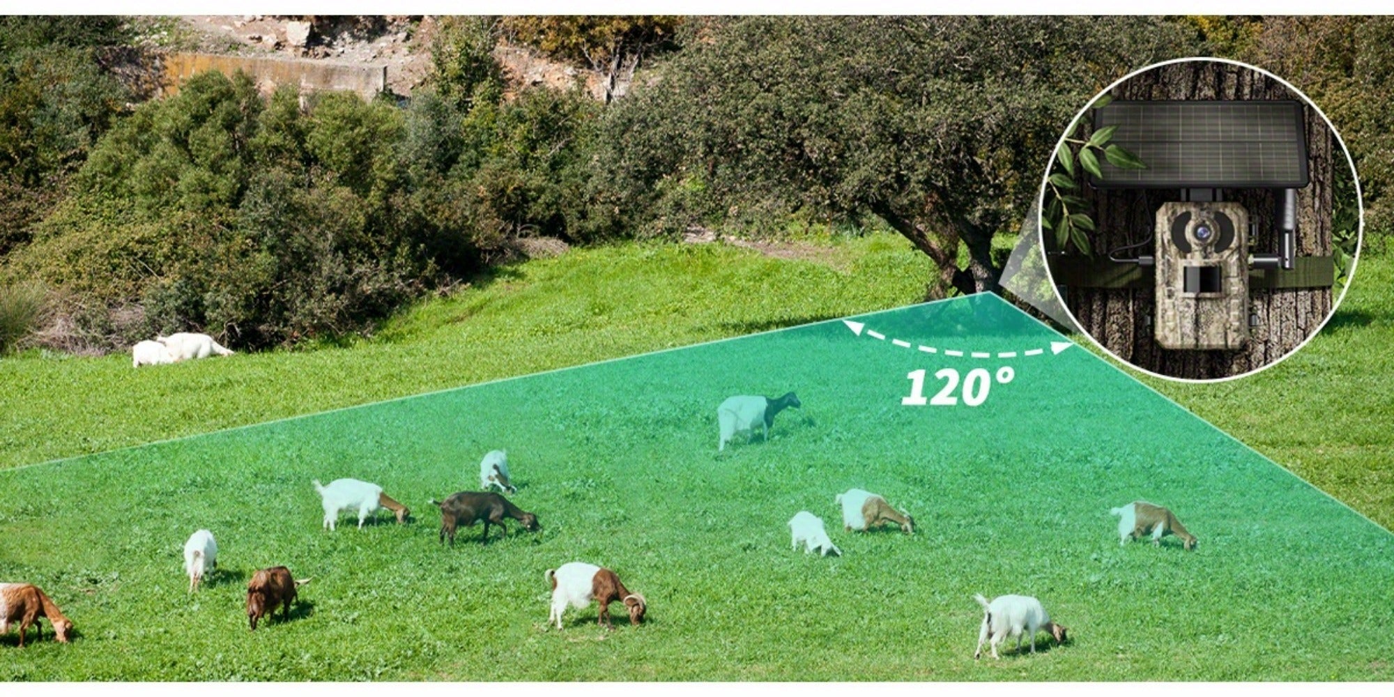 Cámara de Senderismo 4G LTE con Tarjeta SIM - Carga Solar / Alarma Extrema de 0.2s + Visión Nocturna Sin Luz, Acceso Remoto y Reproducción por Teléfono, Monitoreo 24/7, No Requiere Wi-Fi