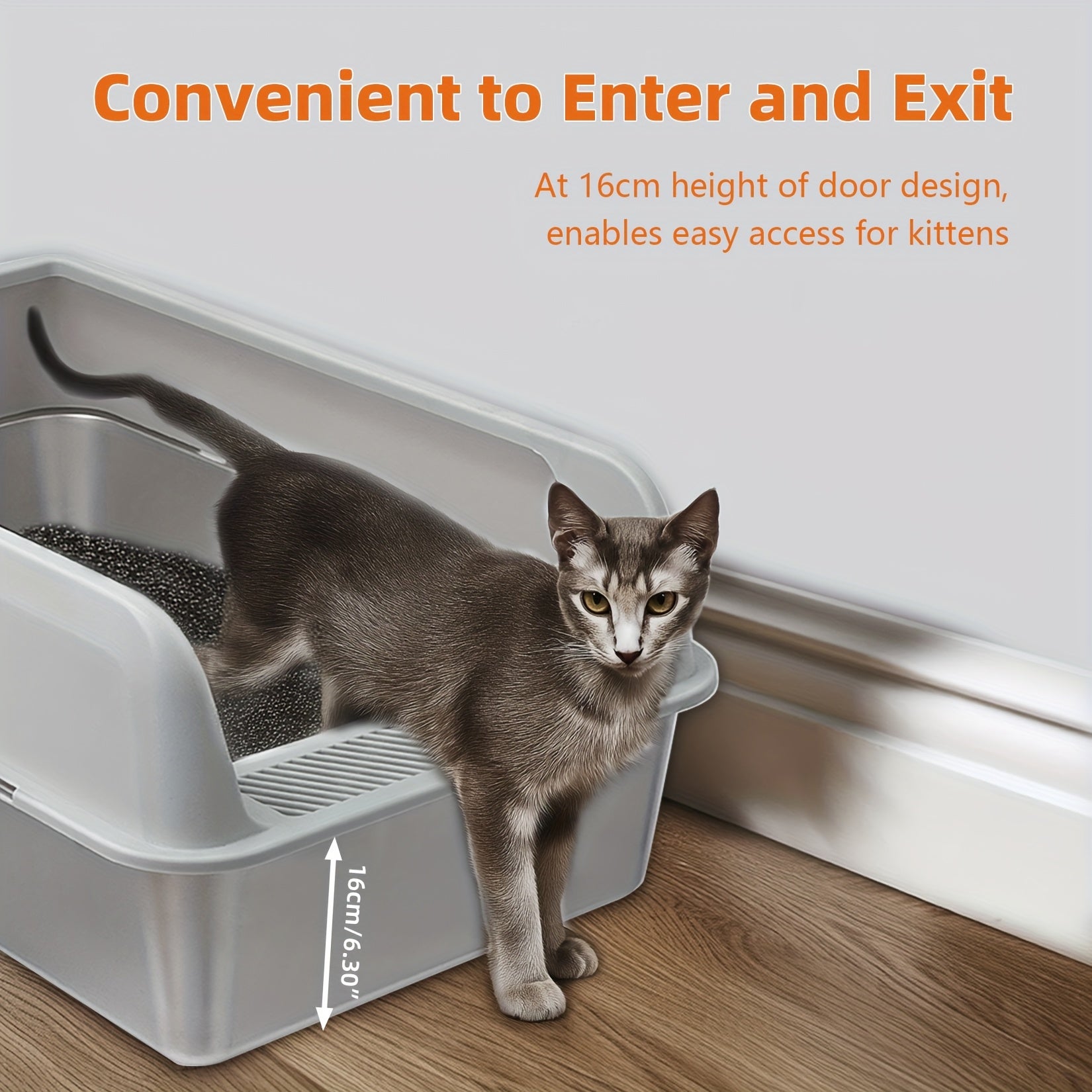 Caja de arena para gatos | Higiene interior y hogares con varios gatos