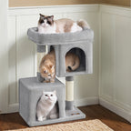 Árboles y torres para gatos | Árbol para Gatos, Torre de 74 cm, M, Condominio para Gatos Medianos hasta 5 kg, Percha Grande, 2 Cuevas y Rascador
