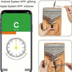 Semillas Kalimba 41 Teclas, Piano de Pulgar Avanzado C- Afinado, Cromático - Piano de Pulgar de Capas de Dedos, Caja de Resonancia de Madera Maciza, Tono Etéreo con Resonancia Sostenida, Kalimba Piano de Pulgar para Adultos Principiantes