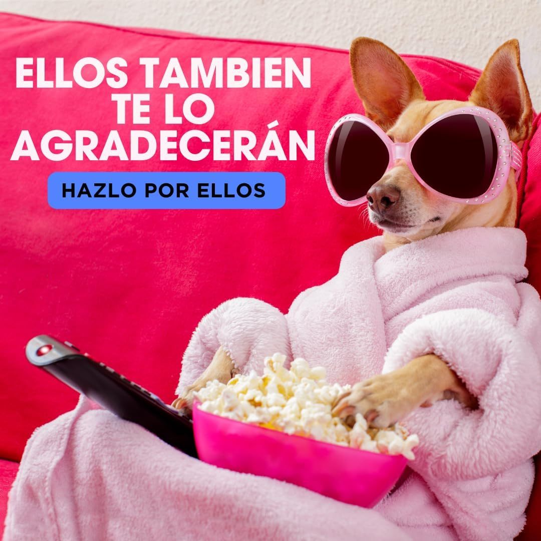 Fregasuelos Concentrado. Fregasuelos Perfumado Duradero. PH Neutro. Aroma Aloe Marsella y Pasión. 5 Litros