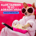 Fregasuelos Concentrado. Fregasuelos Perfumado Duradero. PH Neutro. Aroma Aloe Marsella y Pasión. 5 Litros
