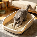 Arena sanitaria para gatos de tofu | 3 bolsas | 6 litros por bolsa | Absorción rápida | Forma grumos rápidamente | Desodoriza eficazmente | Sin polvo | Gránulos finos