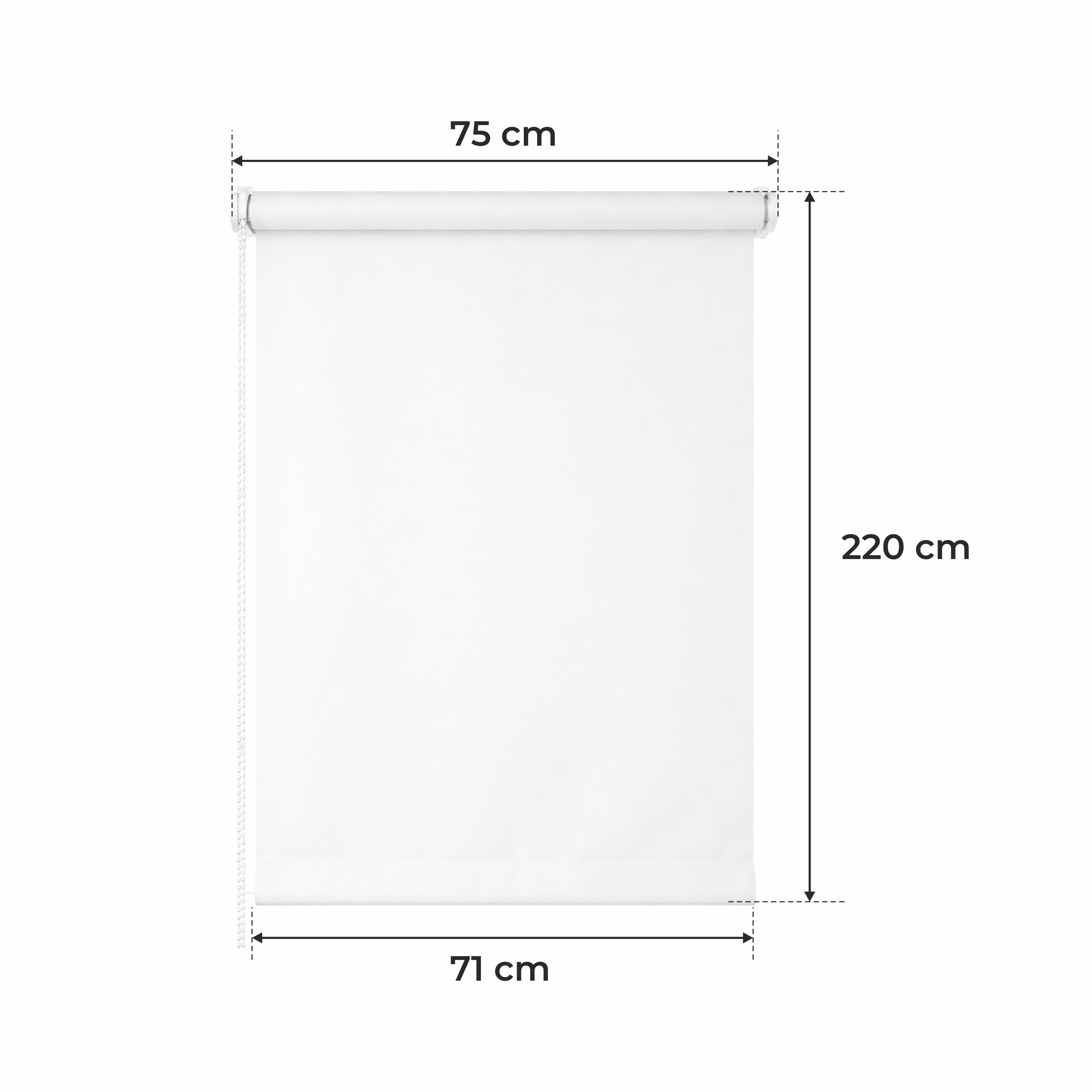 Persiana Enrollable para Ventana • BLANCA • 32 Tamaños • BOJANEK MINI ROLLER BLIND • Soportes Ajustables • Instalación sin Taladro en la Ventana • Persiana Enrollable con Mecanismo de Cadena • Cubierta de Ventana Protectora contra el Sol • Ideal para Saló