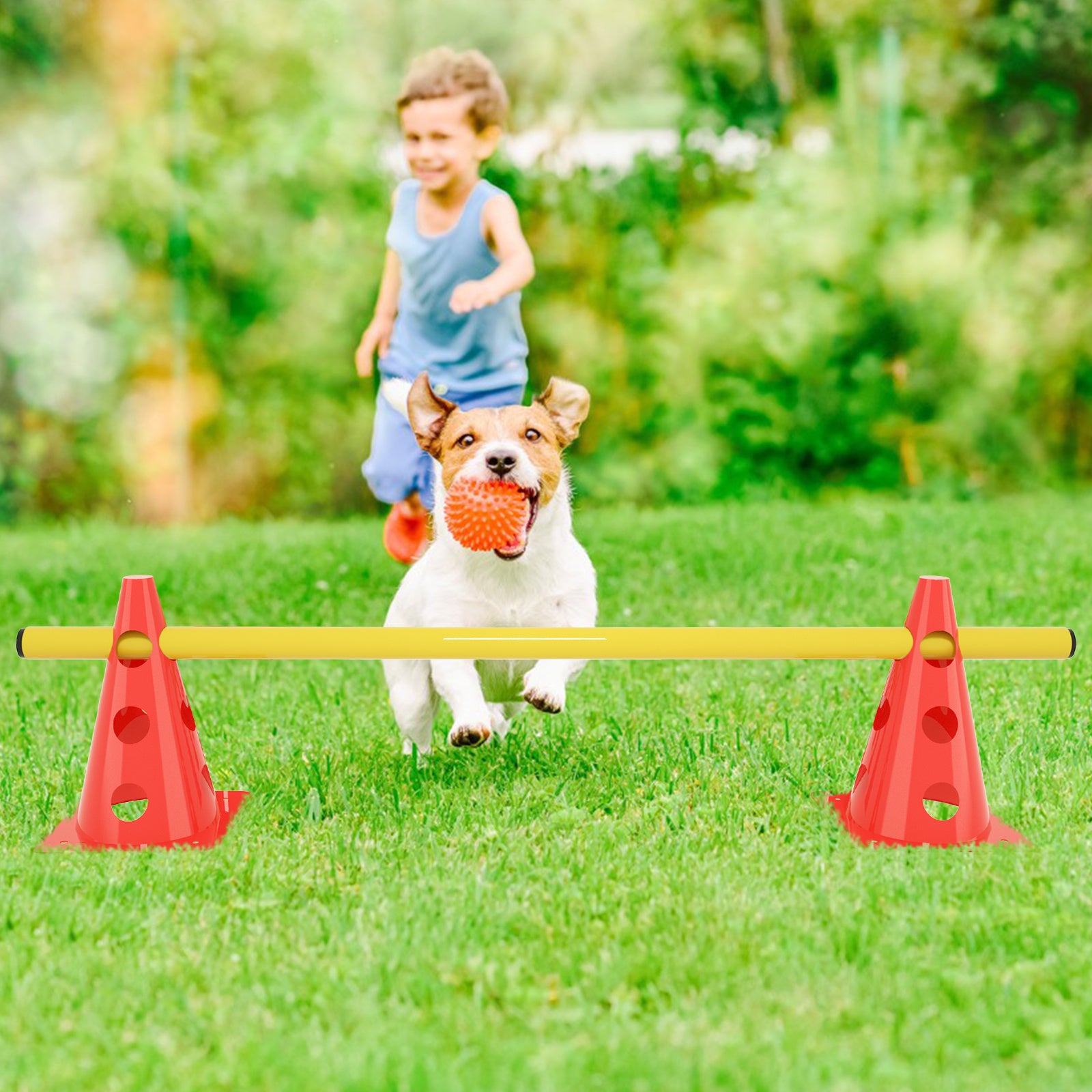 Juego de entrenamiento de agilidad para perros - 12 conos y 6 barras ajustables para ejercicios de coordinación, juego de 6 piezas