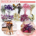 Lote de 9 - Mezcla de Flores Silvestres Secas Naturales y Adecuadas para Manualidades con Hierba de Pampas, Lavanda, Nomeolvides, Aliento - Ramos Multicolor con Tallos para Arreglos Florales DIY, Velas de Resina, Scrapbooking, Fabricación de Jabones, Tarj