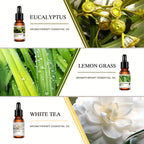 Aceites esenciales y accesorios | Set de 5 goteros para aceites esenciales, difusor de aroma, velas perfumadas, quemador de aceite aromático