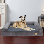 Cama ortopédica de espuma para perro | Descanso, hogar y mascotas