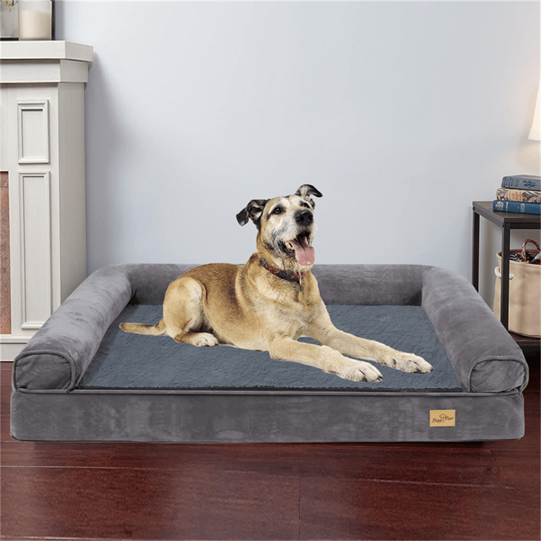Cama ortopédica de espuma para perro | Descanso, hogar y mascotas