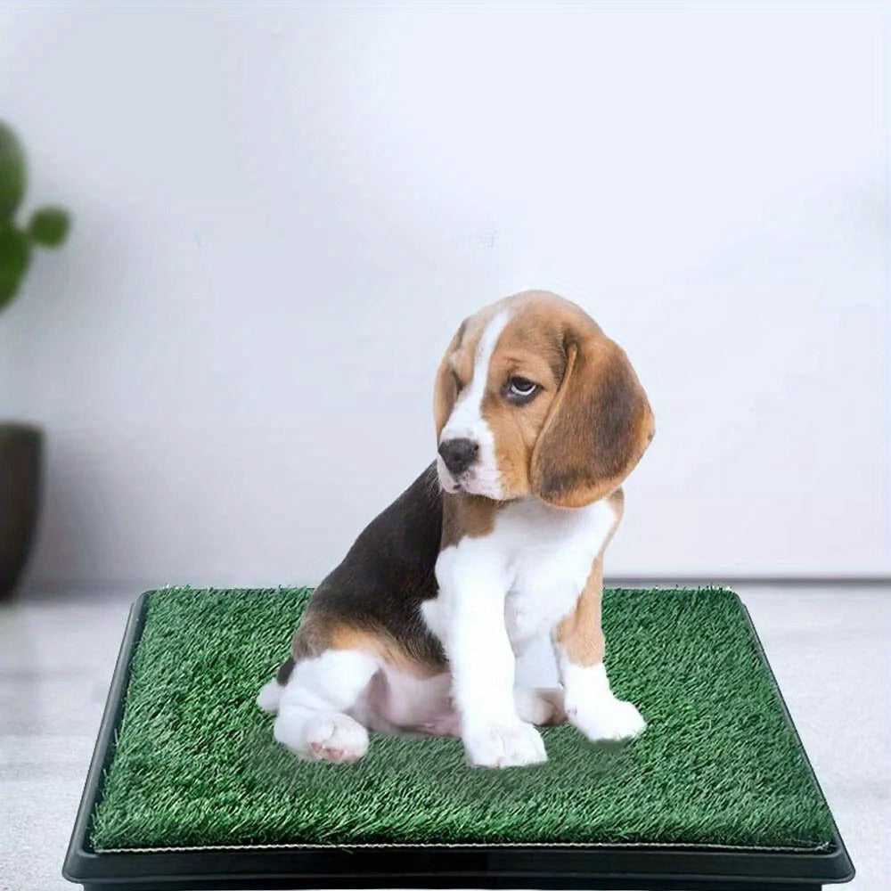 Orinal para perros, Orinal para cachorros, Césped artificial 63X50Cm