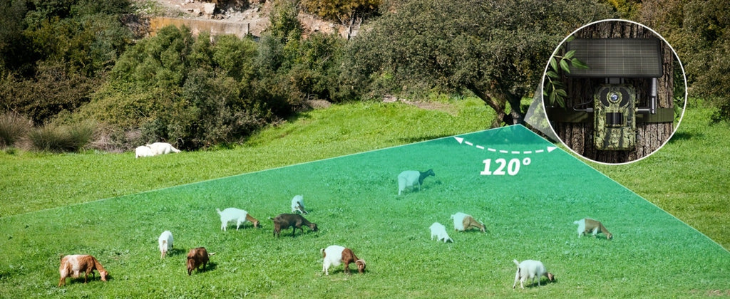Paquete de 2 cámaras de rastro inteligentes celulares 4G LTE / Paquete de 1 cámara 4G, con transmisión en vivo 2K, tarjeta SIM incorporada, acceso remoto por aplicación, reproducción de grabación, activación por movimiento y tiempo de disparo de 0.2S, vis