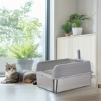 Caja de arena para gatos | Higiene interior y hogares con varios gatos