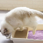 La arena para gatos se aglomera en segundos Arena para gatos vegetal Arena para gatos desodorizada, sin polvo y sin mezcla Suministros para mascotas fáciles de almacenar - 1 bolsa Varios sabores