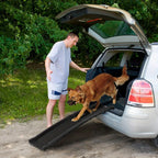 Rampa para perros plegable de plástico, escaleras para mascotas, rampa de acceso antideslizante con topes de goma hasta 90 kg, 156 x 40 cm, negra
