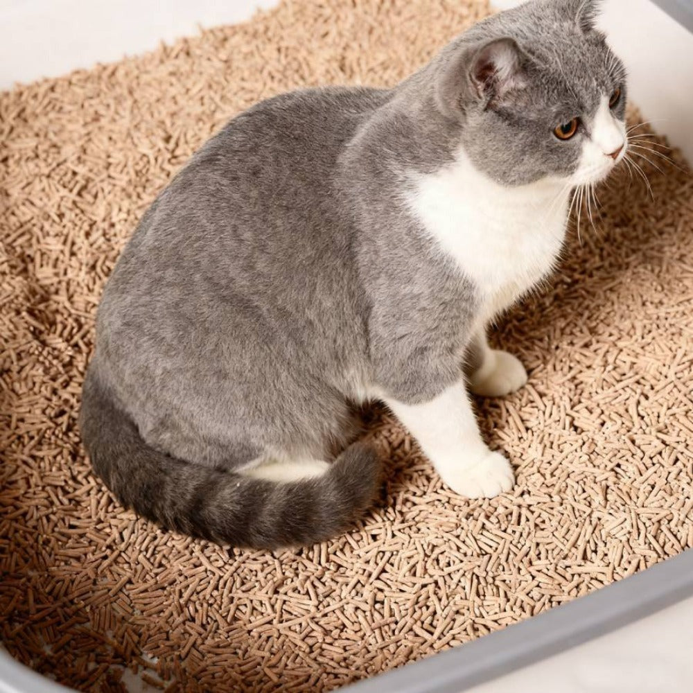 La arena para gatos se aglomera en segundos Arena para gatos para plantas Arena para gatos desodorizante, libre de polvo y sin mezclar Suministros para mascotas fáciles de almacenar