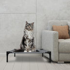 Cama para Perros con Dosel, Cama Elevada para Mascotas con Techo y Estructura de Hierro, Colchón para Dormir de Mascotas, Cama para Gatos, Gris, 76x61x76cm, 92x76x92cm, 122x92x102cm