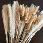 Ramo de Flores Secas de Hierba de las Pampas 200 piezas, Cola de Conejo 43.18 cm, Flores Naturales Esponjosas y Pomposas para Decoración de Bodas, Hogar o Fiestas - Estilo Bohemio (Clásico)