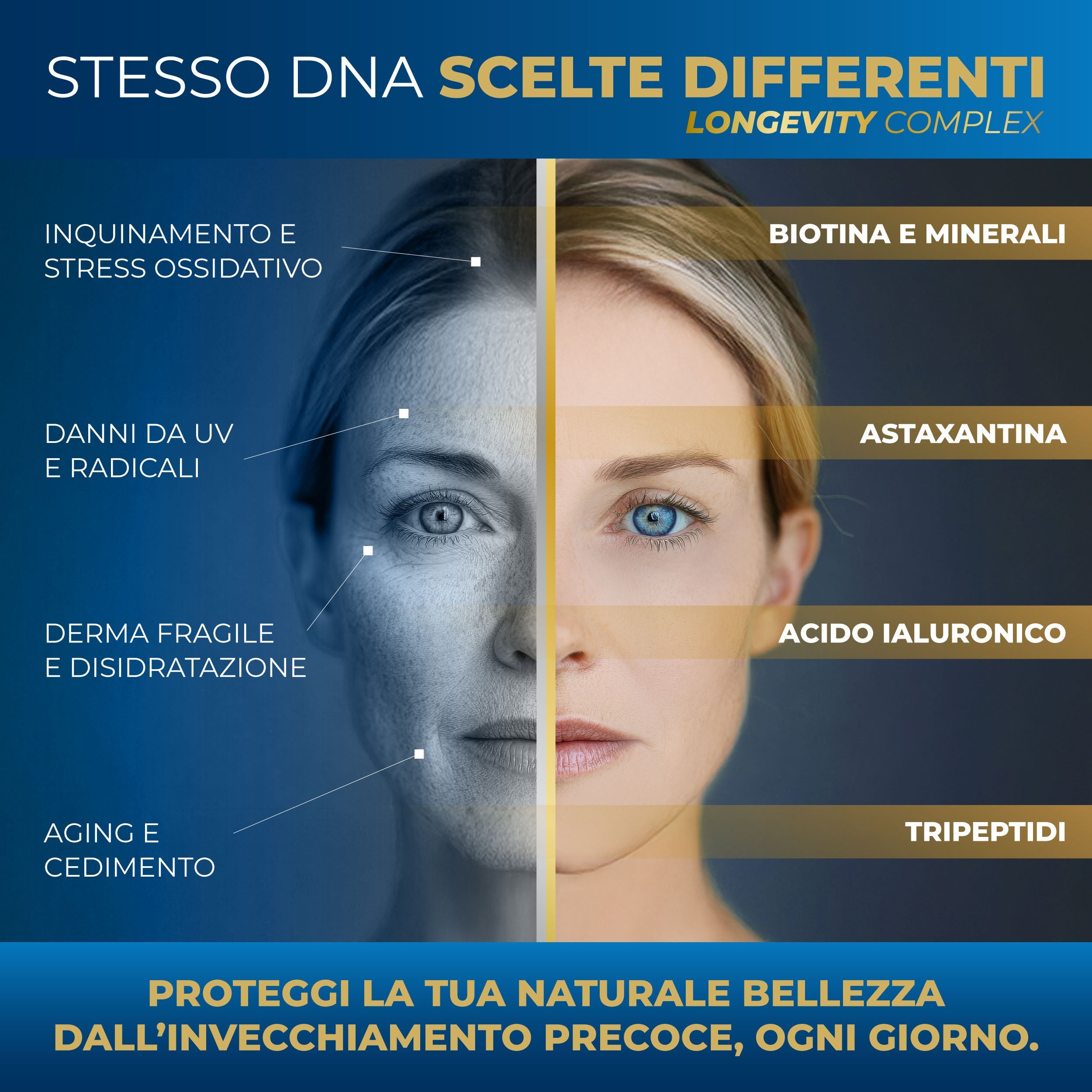 Colágeno Marino con Ácido Hialurónico [120 Cápsulas x 60 Días] Astaxantina Zinc Biotina Vitamina C | Tripeptidos de Colágeno Marino Hidrolizado para Cabello, Piel, Uñas - Complejo de Longevidad SEACOLL