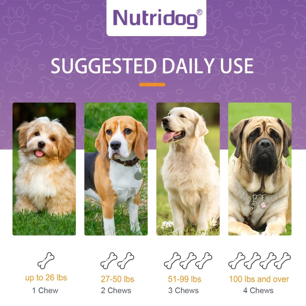 Probióticos para Perros en Masticables, Sabor a Pato - Apoya la Salud Intestinal, Equilibrio Digestivo - Masticables Suaves con Prebióticos y Probióticos (120 Unidades) (Pato)