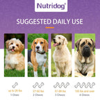 Probióticos para Perros en Masticables, Sabor a Pato - Apoya la Salud Intestinal, Equilibrio Digestivo - Masticables Suaves con Prebióticos y Probióticos (120 Unidades) (Pato)